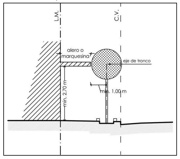Anexo 3 - Gráfico 13